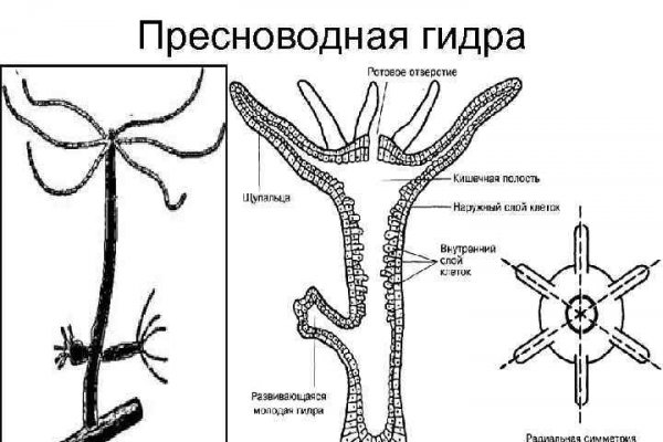 Ссылка кракен kr2web in