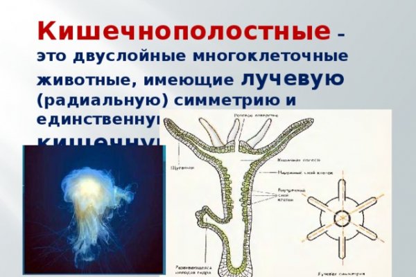 Кракен официальный